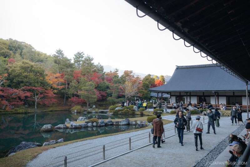 Visitors stroll through a traditional Japanese garden with a pond, rocks, and autumn trees beside the wooden Tenryu-ji Temple under a clear sky.