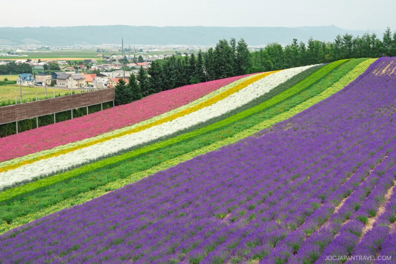 Colorful rows of blooming flowers, including purple, white, yellow, and pink, blanket the hillside at Farm Tomita, with a small town, trees, and distant mountains in the background under a cloudy sky.