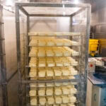 Furano Cheese Factory (富良野チーズ工房) – Dairy Delights in Hokkaido A metal rack holds multiple trays stacked with blocks of cheese at the Furano Cheese Factory, inside a clean, stainless steel processing room with equipment and plastic bins visible in the background.