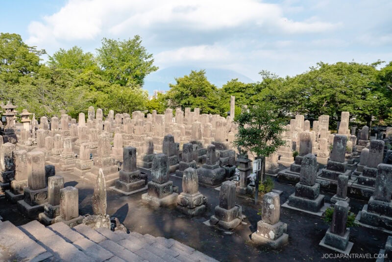 Old stone grave markers and monuments densely arranged in a historic Japanese cemetery, possibly including memorials to figures like Saigo Takamori, surrounded by lush green trees under a partly cloudy sky.