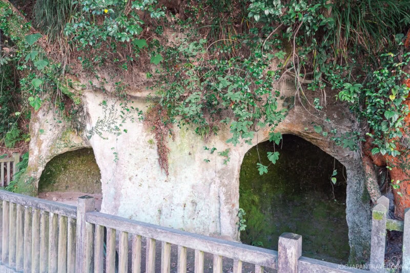 Two small cave-like openings in a mossy, overgrown hillside—said to be linked to Saigo Takamori—are partially enclosed by a wooden fence. Green plants and vines hang over the entrances, blending the scene with nature.