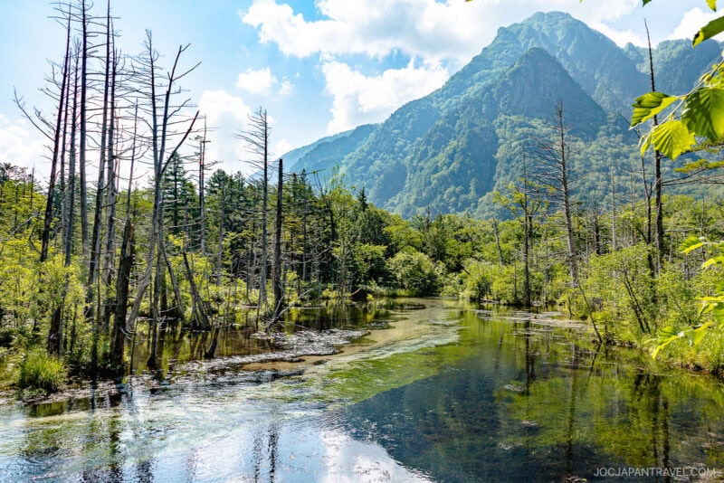 A clear stream surrounded by lush greenery and tall, leafless trees, with a forested mountain rising in the background beneath a blue sky with scattered clouds near the sacred grounds of Hotaka Shrine.