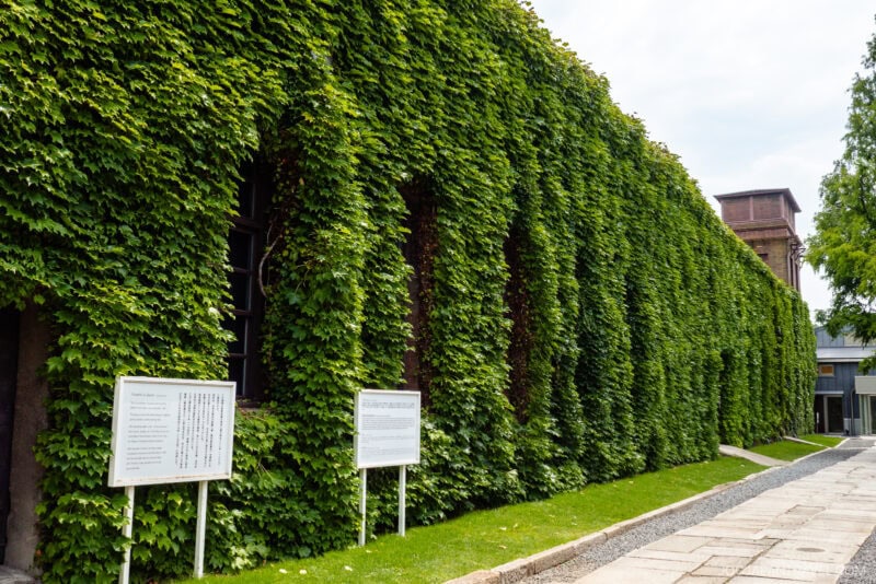 A long brick building at Kurashiki Ivy Square is covered in dense green ivy. Two white information boards stand on the grass near the sidewalk, with part of a tower rising in the background under a cloudy sky.