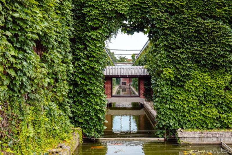 A modern building at Kurashiki Ivy Square, covered with dense green ivy, features a large rectangular opening framing a glass-walled walkway over a reflective water channel.