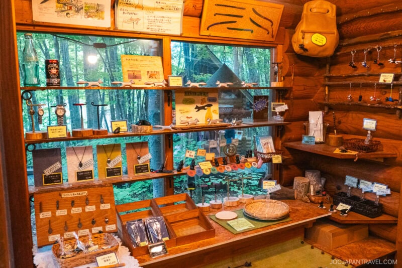 A cozy wooden shop interior at Ningle Terrace displays neatly arranged nature-themed souvenirs, books, tools, and crafts on shelves and walls, with a large window revealing the lush green forest outside.