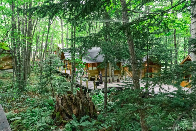 A rustic wooden cabin on Ningle Terrace is nestled among lush green trees and ferns in a dense forest, with a wooden walkway and people visible near the entrance.
