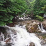 Shiratani Unsui Gorge (白谷雲水峡) – Hiking Yakushima’s Moss-Covered Fantasy Forest A clear, rocky stream flows rapidly through the lush green forest of Shiratani Unsui Gorge, cascading over stones and boulders. Dense trees line the water’s edge, and a small wooden signboard is visible on the right side among the foliage.