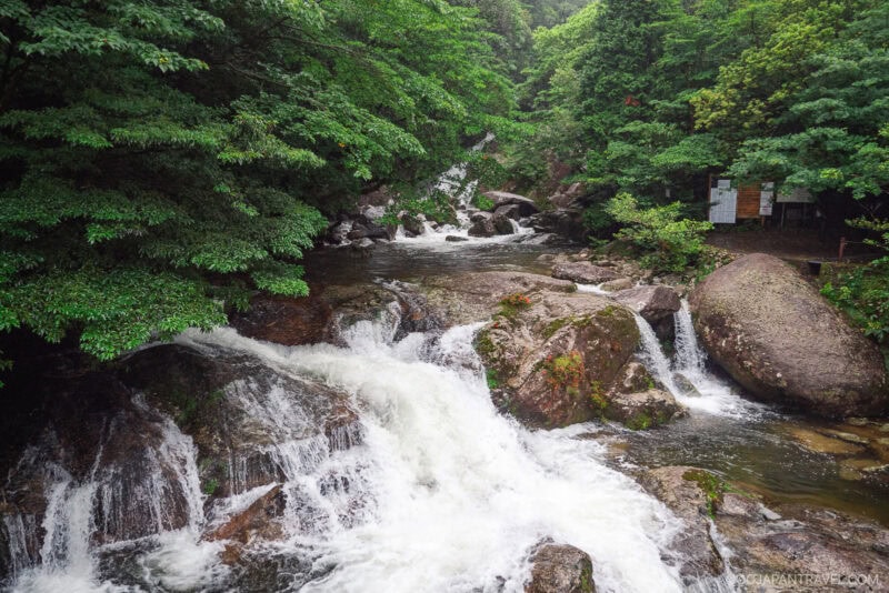 A clear, rocky stream flows rapidly through the lush green forest of Shiratani Unsui Gorge, cascading over stones and boulders. Dense trees line the water&rsquo;s edge, and a small wooden signboard is visible on the right side among the foliage.