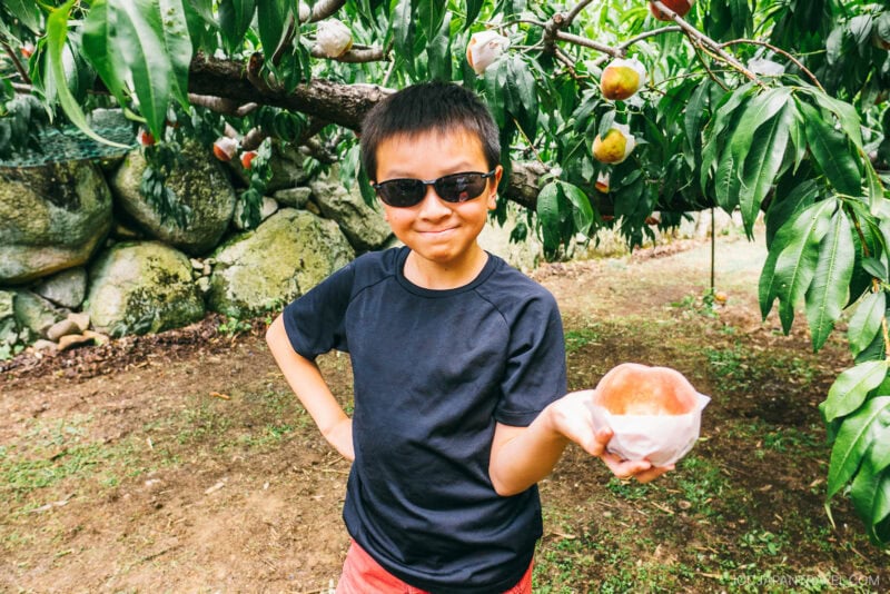 A smiling boy wearing sunglasses and a black shirt holds a freshly picked peach in a protective wrapper, standing under a peach tree in a Yamanashi orchard.