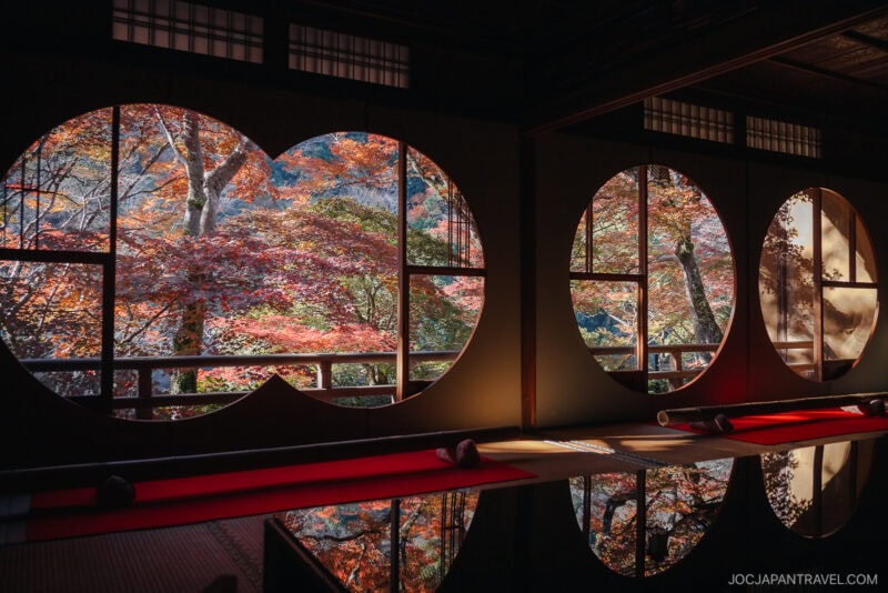 Large, round windows in a traditional Japanese building frame vibrant Arashiyama autumn foliage outside, with red, orange, and yellow leaves. Sunlight pours in, illuminating the scene and reflecting on the glossy floor inside.