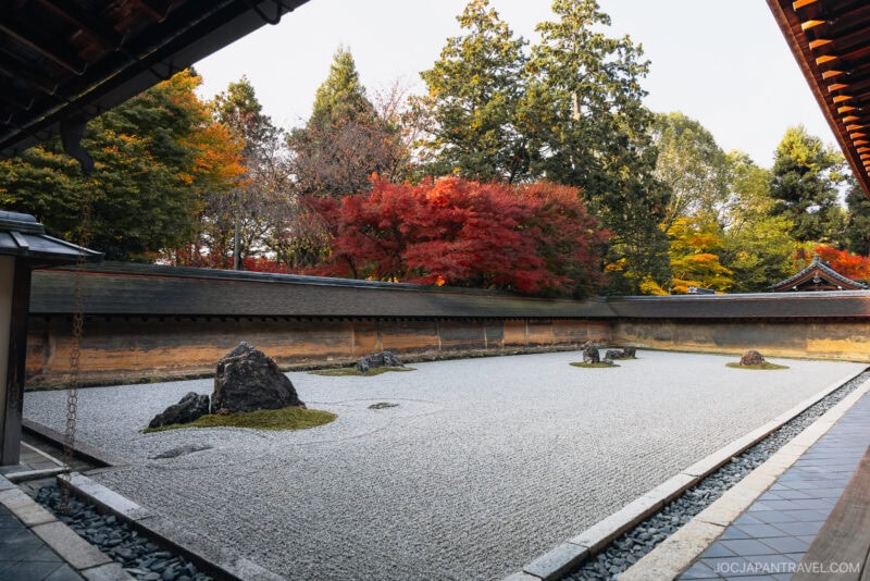 A traditional Japanese rock garden with raked white gravel, scattered rocks, and a wooden wall. Beyond the wall, vibrant Kyoto autumn foliage in red and yellow hues creates a stunning seasonal backdrop.