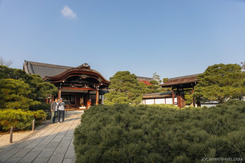 Two people stand on a stone path leading to a traditional Japanese building, surrounded by lush greenery and pine trees under a clear blue sky, evoking the serene atmosphere of Kyoto autumn foliage.