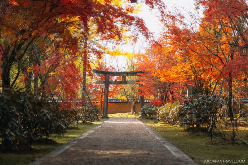 A stone path leads through vibrant Kyoto autumn foliage to a traditional Japanese torii gate, surrounded by red and orange maple trees in a peaceful garden setting.