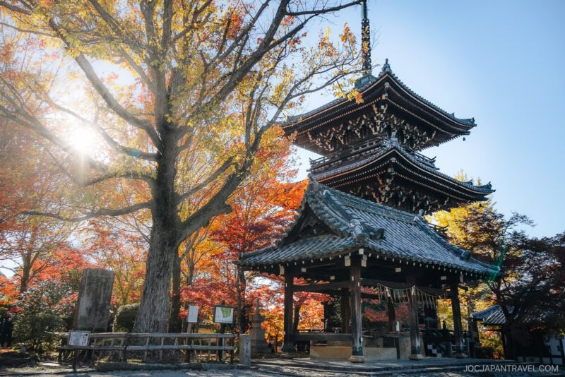 A traditional Japanese pagoda in Kyoto is surrounded by vibrant autumn foliage—yellow and red leaves glowing in the sunlight, casting warmth over this peaceful temple scene.