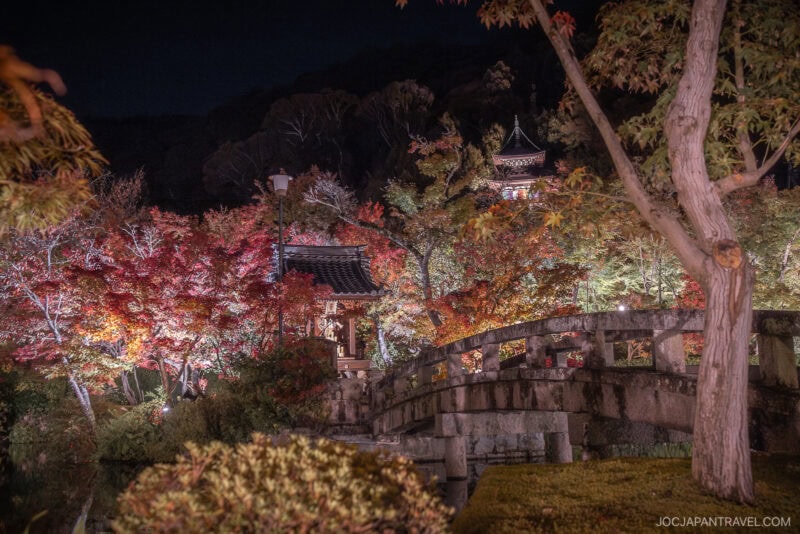 A serene Japanese garden at night, illuminated by soft lights. A stone bridge crosses water, surrounded by Kyoto autumn foliage in red and orange hues, with traditional wooden structures in the background.