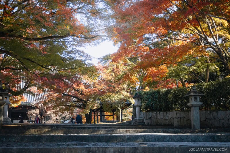 Stone steps lead up through a garden of Kyoto autumn foliage, with vibrant red, orange, and yellow leaves. Traditional stone lanterns line the path, and a few people walk among the trees on a sunny day.