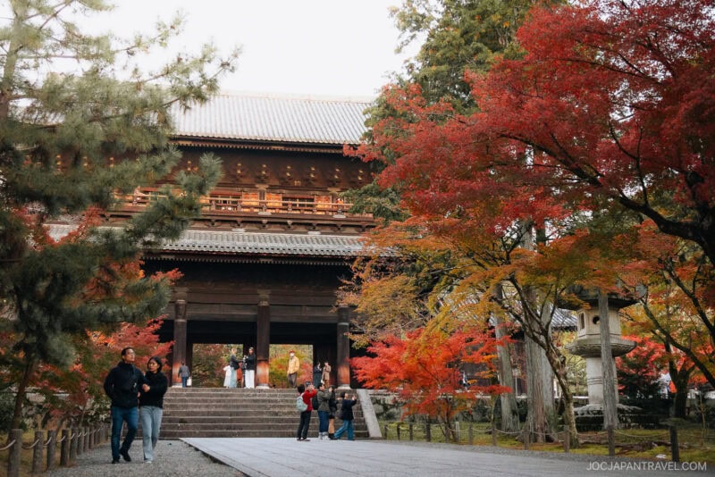 People walk near a traditional Japanese temple gate in Kyoto, surrounded by vibrant autumn foliage. Stone steps lead up to the entrance as red and orange leaves frame the serene scene.