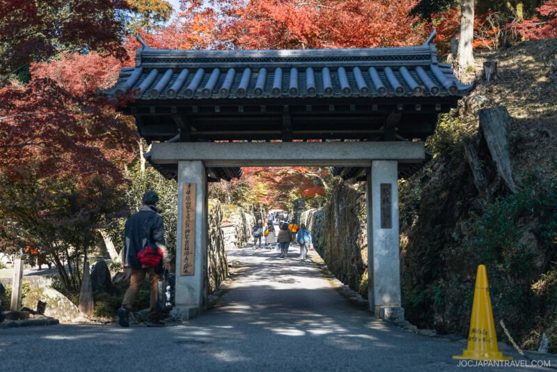 A traditional Japanese gate in Uji stands over a stone path lined with autumn trees. People walk along the path under vibrant red and orange foliage, enjoying a sunny day.