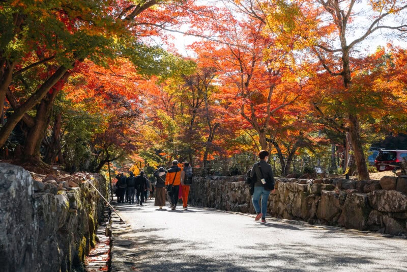 People walk along a stone-lined path in Uji, surrounded by vibrant orange and red autumn trees, with sunlight filtering through the colorful foliage.