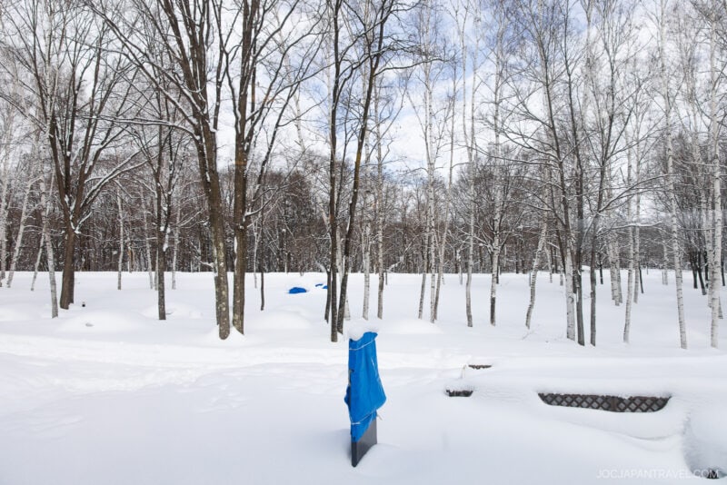 A snowy landscape with leafless trees and benches partly covered in snow. A post and several objects wrapped in blue tarps stand out against the white background—an iconic scene from a Furano Biei winter guide.