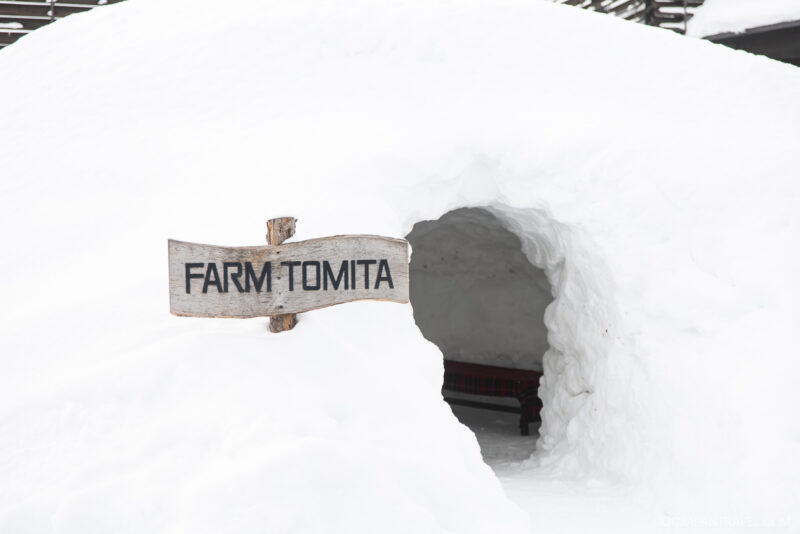 A wooden sign reading FARM TOMITA stands in front of a snow tunnel entrance, thick snow covering the ground—a classic scene from any Furano Biei winter guide—with a red bench visible inside the tunnel.