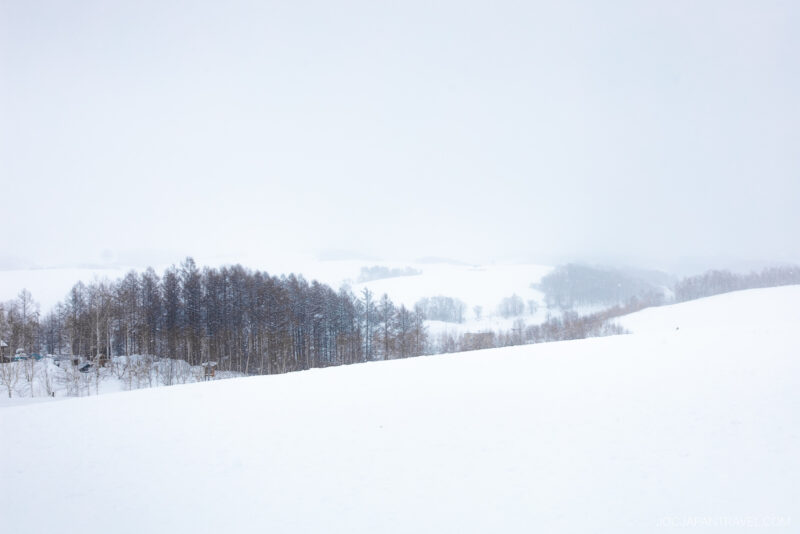 Snow-covered hills and leafless trees in a serene winter landscape under a cloudy, overcast sky evoke the tranquil beauty found in any Furano Biei winter guide.