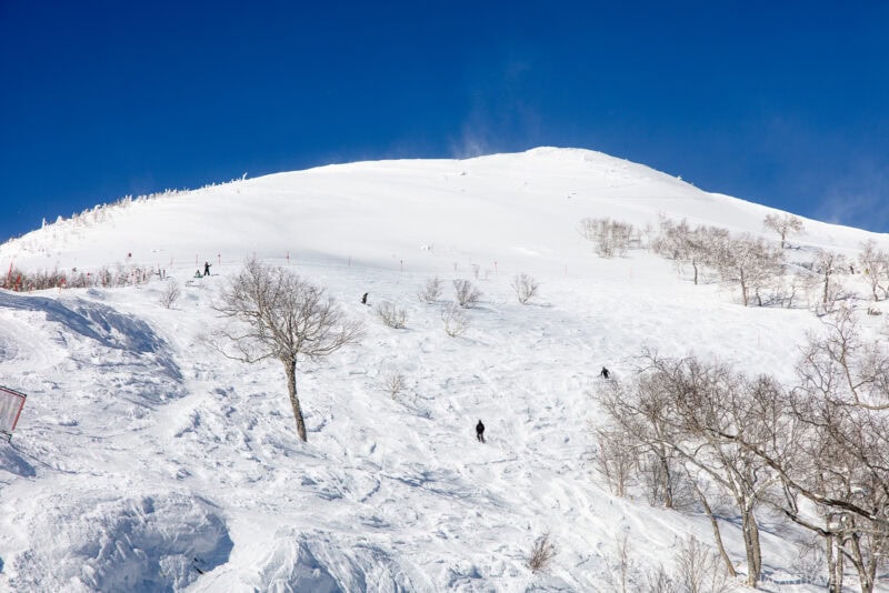 Skiers descend a snowy, tree-dotted mountain at Hoshino Resorts Tomamu under a clear blue sky, leaving trails in the fresh white powder.