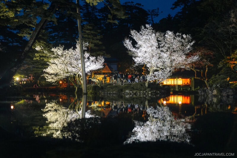 Kanazawa cherry blossom trees illuminated at night are reflected in a calm pond, with people gathered nearby and a softly lit building in the background, creating a serene and picturesque scene.