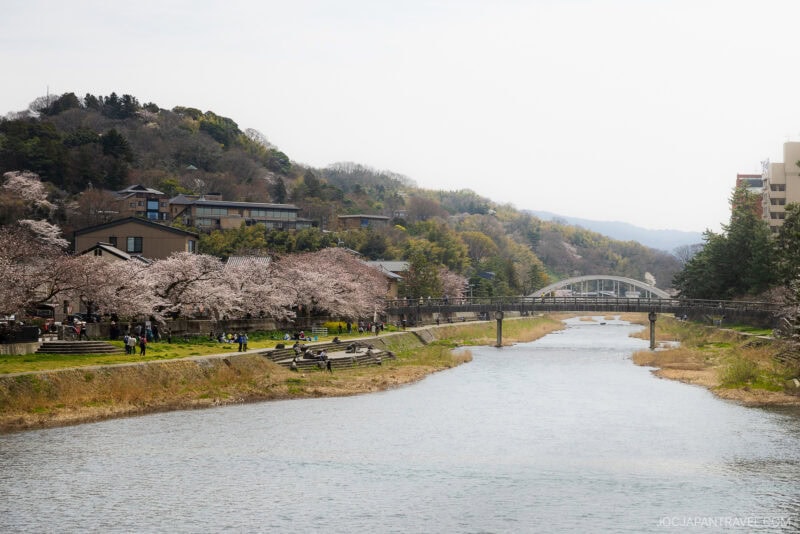 A river with kanazawa cherry blossom trees lining its banks, people walking and sitting on benches, houses on the hillside, and two bridges crossing the water under a partly cloudy sky.