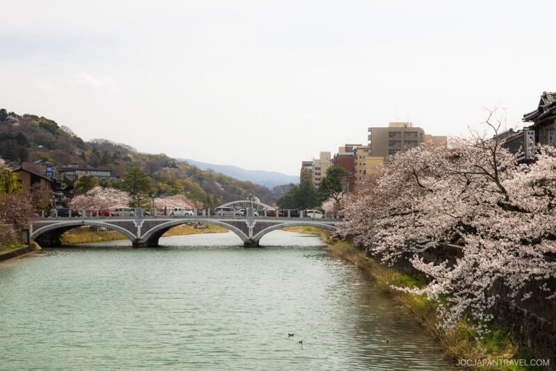 A scenic river flows beneath a stone bridge lined with people, with blooming Kanazawa cherry blossom trees on both banks and buildings visible in the background.