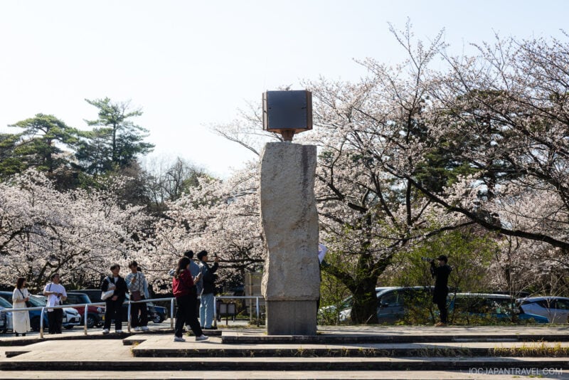 People stand and take photos near a tall stone monument with a metal box on top, surrounded by blooming Kanazawa cherry blossom trees on a sunny day. Several parked cars are visible in the background.