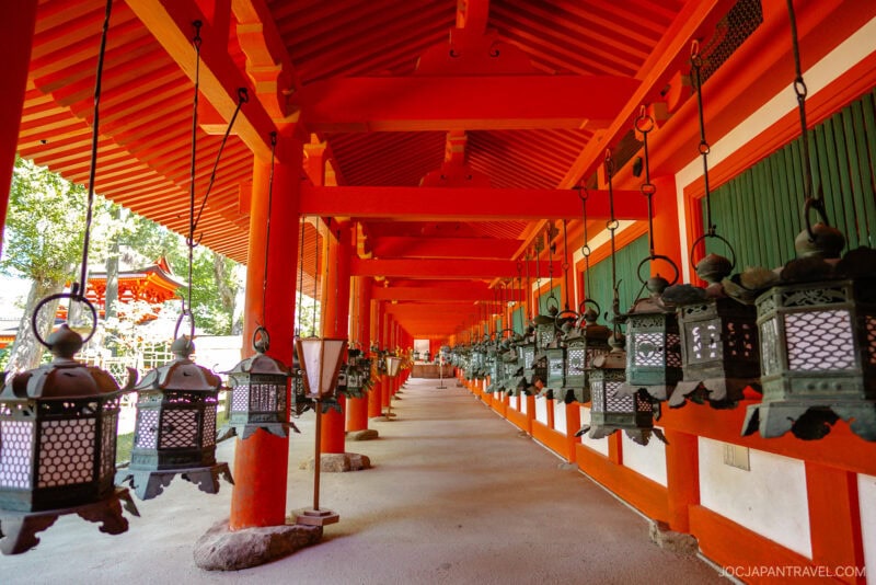 A covered walkway at Kasuga Taisha temple features rows of bronze lanterns hanging from the ceiling, red wooden beams, and green window shutters. Sunlight filters in, creating a serene atmosphere.