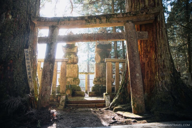 A stone torii gate and moss-covered grave markers stand between tall trees in the forests of Koyasan, sunlight streaming through the branches, creating a serene and ancient atmosphere.