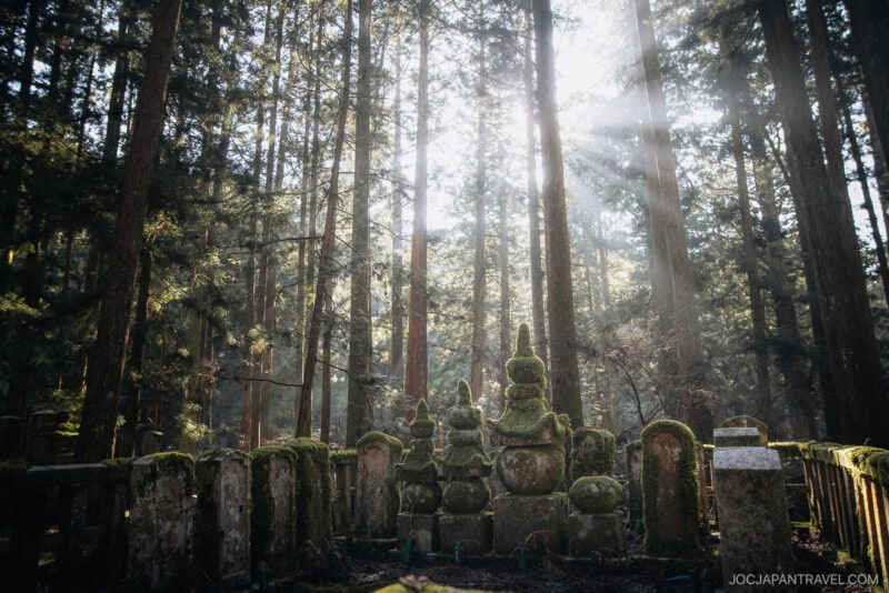 Ancient moss-covered stone grave markers stand in a dense forest at Koyasan, with tall trees and sunlight streaming through the branches, creating a serene and mystical atmosphere.