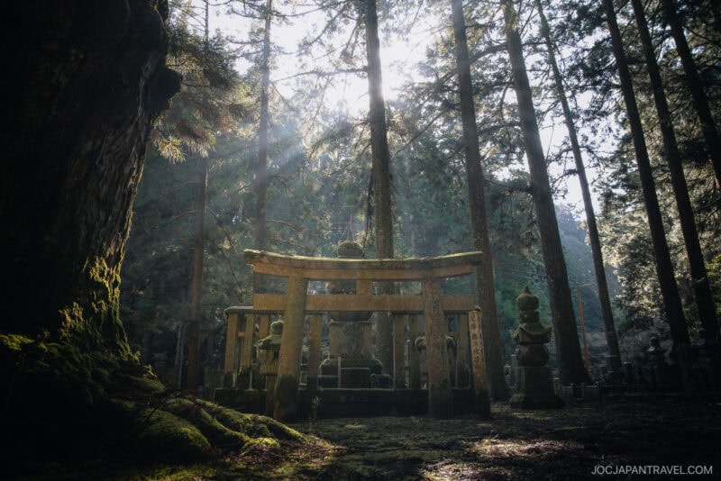 Sunlight streams through tall trees in a misty forest, illuminating a moss-covered stone torii gate and ancient grave markers at the serene Koyasan cemetery.