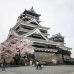 Kumamoto Castle (熊本城) – Kyushu’s Grandest Castle Reborn Tourists take photos near a blooming cherry blossom tree in front of Kumamoto Castle, Japan’s historic multi-tiered black and white fortress with stone walls, creating a picturesque scene under a cloudy sky.