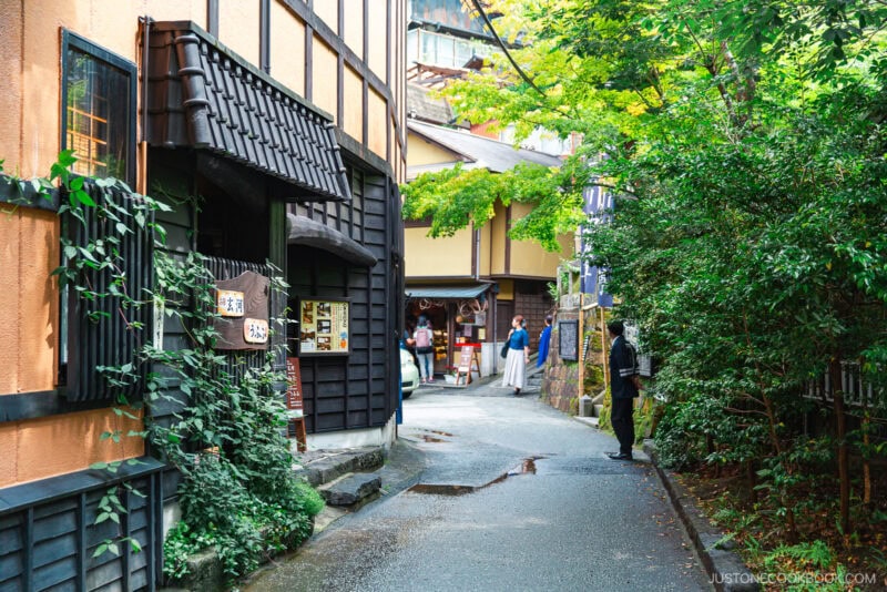 A narrow, quiet street in Japan lined with traditional wooden buildings and green foliage evokes the charm of Kurokawa Onsen. Several people in casual and traditional clothing walk or stand along the pathway on a rainy day.