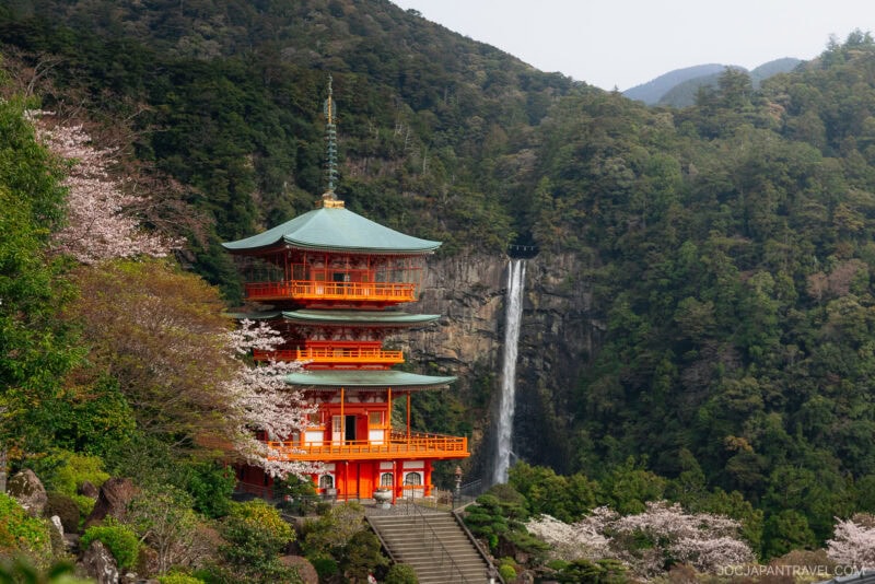 A vibrant red pagoda stands among cherry blossoms and lush greenery, with Nachi Falls cascading down a forested cliff in the background.