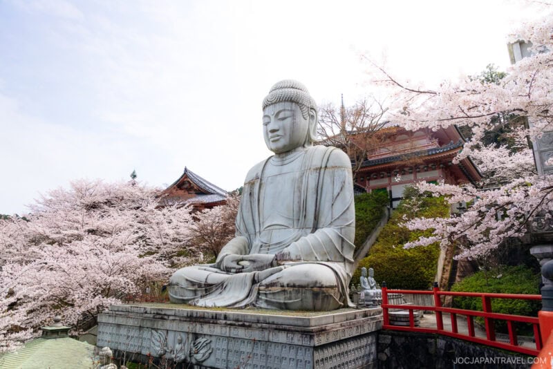 A large stone Buddha statue sits among blooming nara cherry blossoms, with traditional Japanese architecture and a red railing visible in the background.