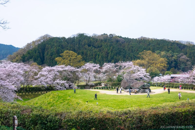 People walk among Nara cherry blossom trees and large ancient stones on a grassy mound, surrounded by lush greenery and forested hills under a clear sky.