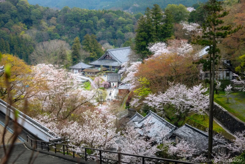 A scenic view of a traditional Japanese temple complex in Nara, surrounded by blooming cherry blossom trees and lush green hills in the background.