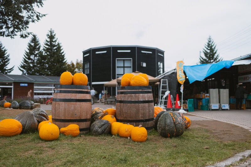 Two wooden barrels surrounded by orange and green pumpkins capture the essence of Niseko autumn, displayed outside a market building with other stalls and pumpkins nearby on a cloudy day.