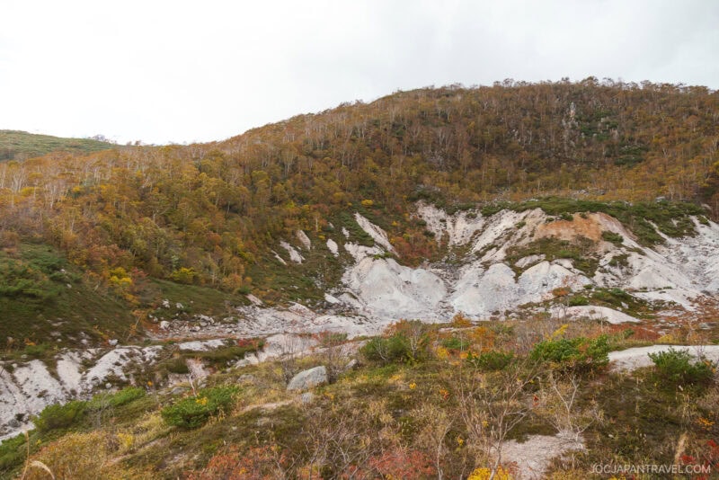 A hillside in Niseko autumn, dotted with sparse foliage and exposed white, rocky soil beneath a cloudy sky. Low shrubs and grass color the foreground.