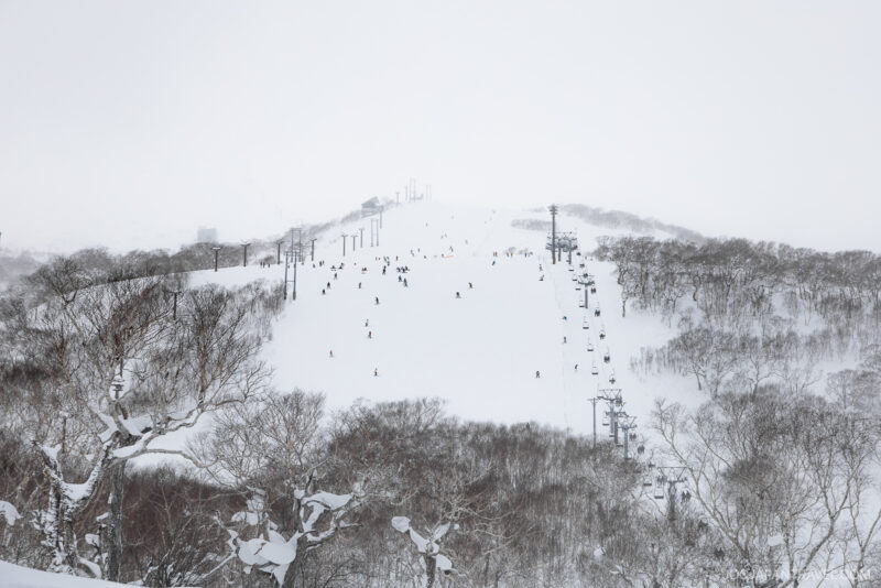 Skiers and snowboarders descend a wide snowy ski slope flanked by bare trees in Niseko, with ski lifts on both sides under an overcast sky—perfect for enjoying popular Niseko winter activities.