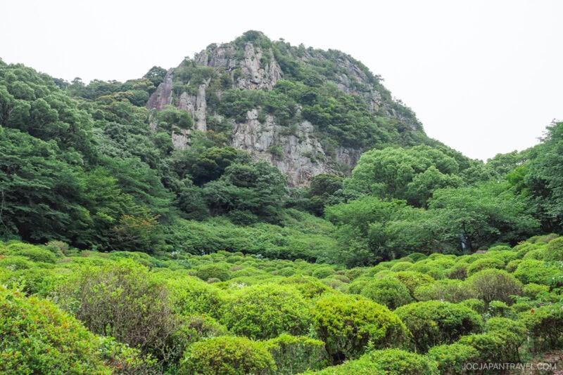A lush green landscape with dense shrubs in the foreground and a tree-covered rocky mountain rising in the background under an overcast sky, reminiscent of the serene scenery surrounding Takeo Onsen.