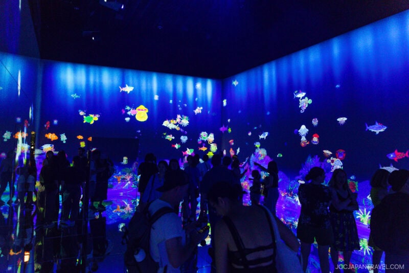 A crowd of people stands in a dark room at teamLab Borderless, surrounded by glowing, colorful digital fish and marine life projected on the walls and floor, creating an immersive underwater atmosphere.