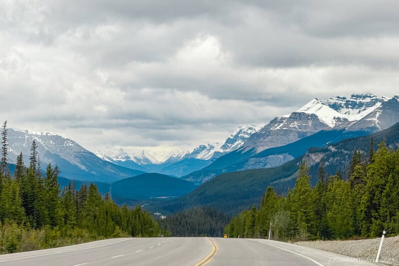 A paved road winds through a green forest in Banff National Park, leading toward distant, snow-capped mountains under a cloudy sky.