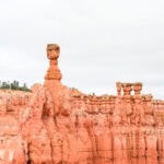 Tall, orange-pink rock formations called hoodoos stand against a pale sky in Bryce Canyon National Park, Utah. Sparse green trees dot the Bryce Canyon landscape in the background.