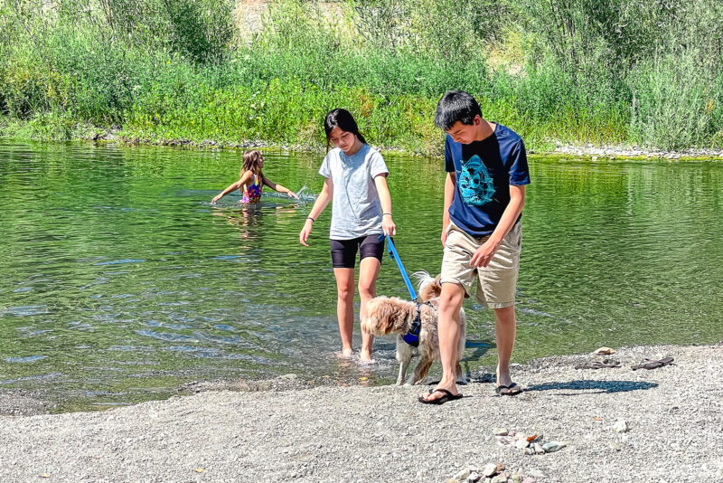 Two teenagers lead a dog on a leash out of a shallow Sonoma river, while a young girl in a swimsuit stands waist-deep in the water behind them. Lush greenery surrounds the scene on this sunny day.