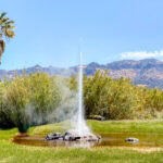 Dog-Friendly Road Trip in Sonoma and Napa Valley Wine Country A tall geyser shoots water into the air from a small pond surrounded by green grass, palm trees, and bushes, with Sonoma mountains in the background under a clear blue sky.